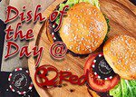 32Red Casino Daily Dish Promotion